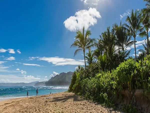 Beachfront Kauai Home
