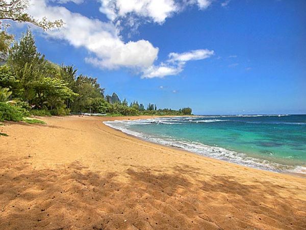 Hanalei Home 1001839
