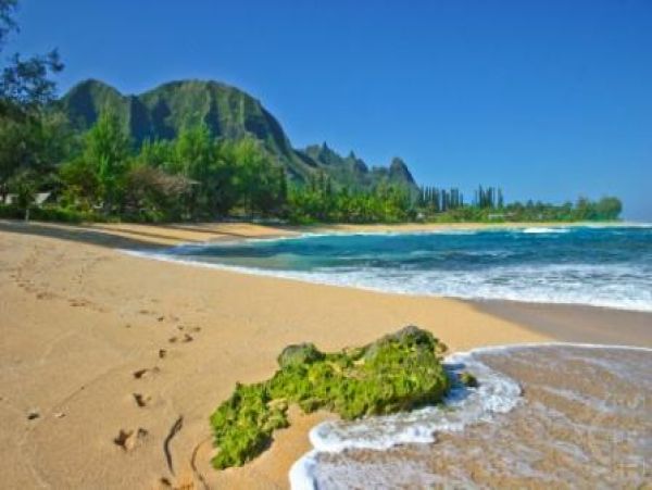 Hanalei Home 1001839