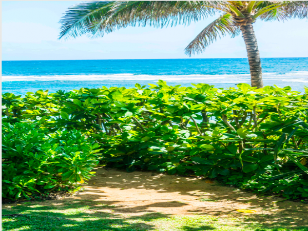Hanalei Home 1001841