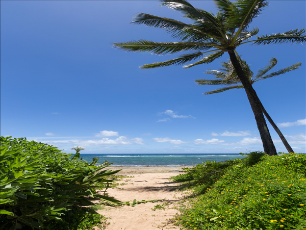 Hanalei Home 1001843