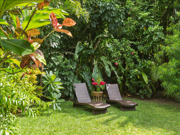 Hanalei Home 1001843