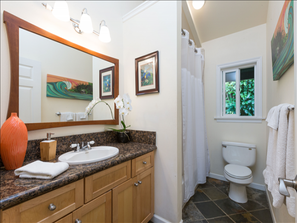 Hanalei Home 1001843