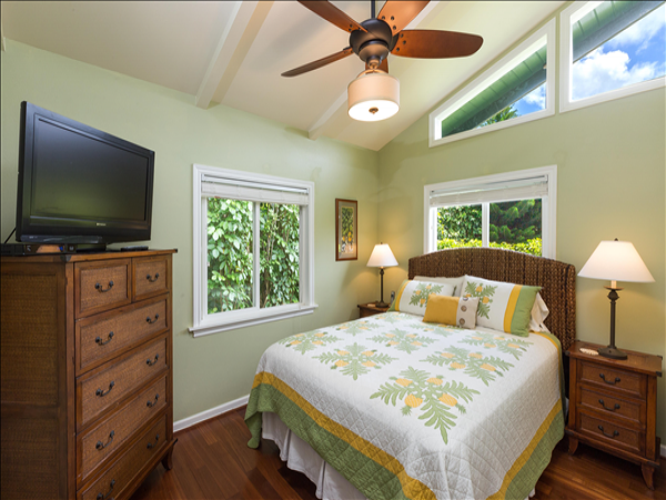 Hanalei Home 1001843