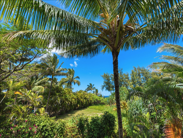 Hanalei Home 1001844