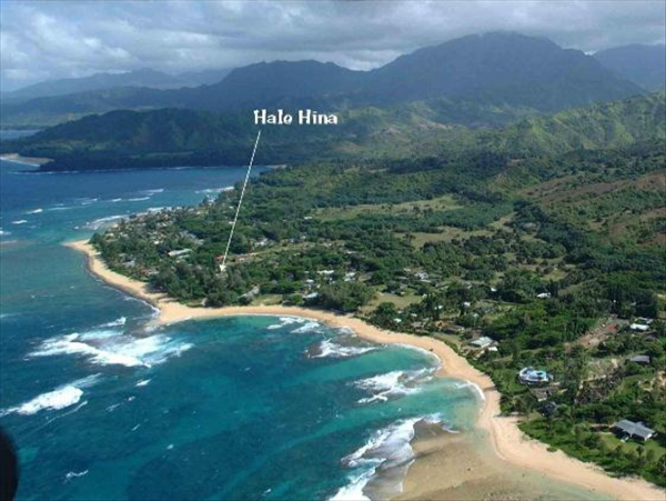 Hanalei Home 1001844