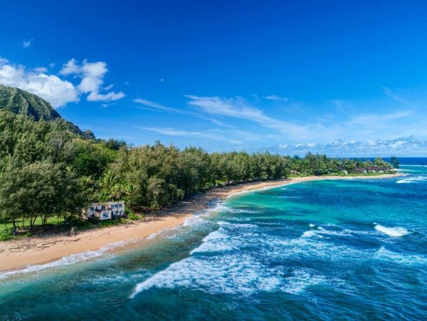 Hanalei Home 1001845