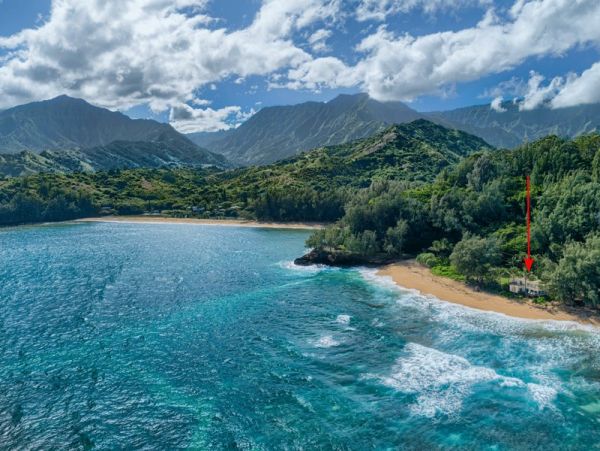 Hanalei Home 1001845