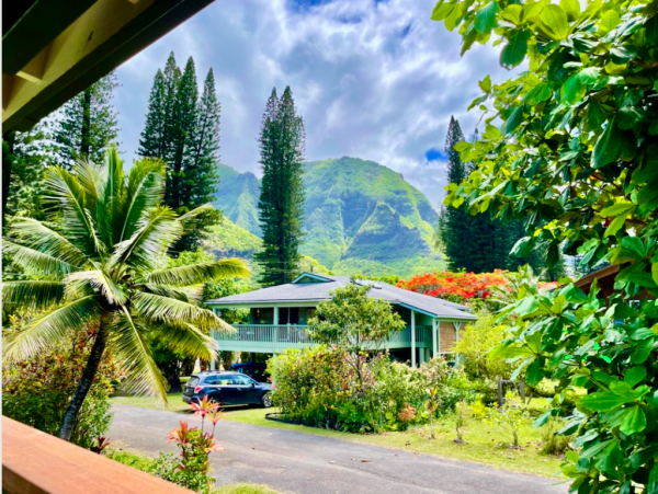 Hanalei Home 1001846