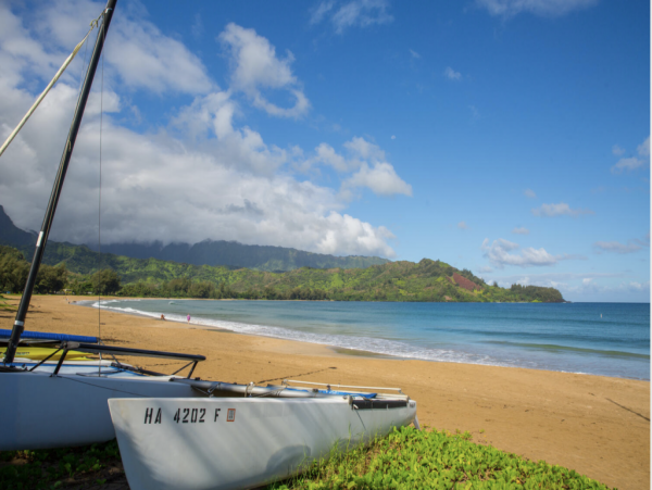 Hanalei Home 1001849