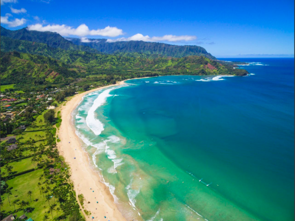 Hanalei Home 1001851