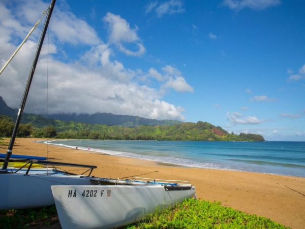 Hanalei Home 1001852