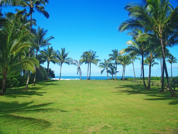 Hanalei Home 1001855