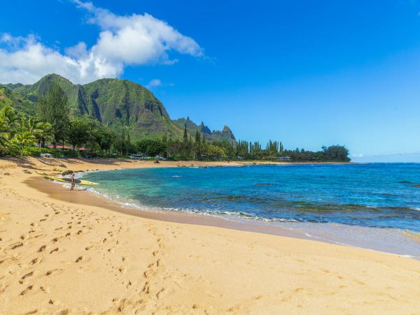 Princeville Home 1001859