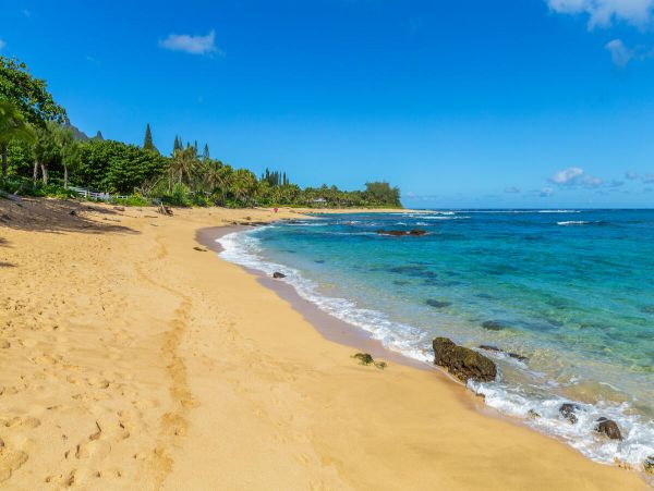 Princeville Home 1001859