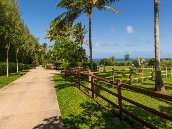 Stunning Views Kilauea Vacation Home Three Bedroom