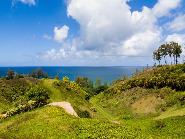 Kilauea Vacation Rental - Kauai Oceanfront Villa