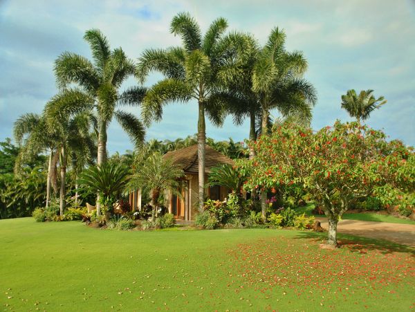 Kilauea Vacation Rental - Kauai Oceanfront Villa