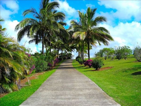 Princeville Home 1001867