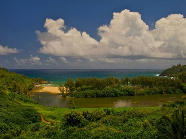 Princeville Home 1001872