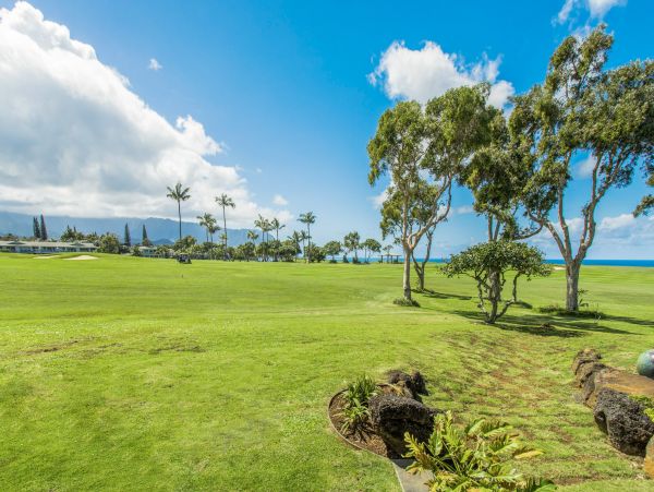 Princeville Home 1001879