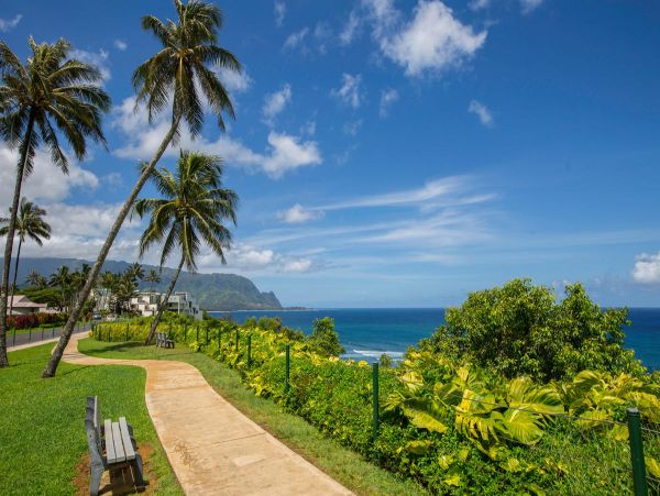 Princeville Condo 1001880