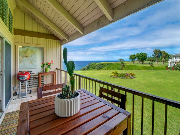 Princeville Condo 1001882