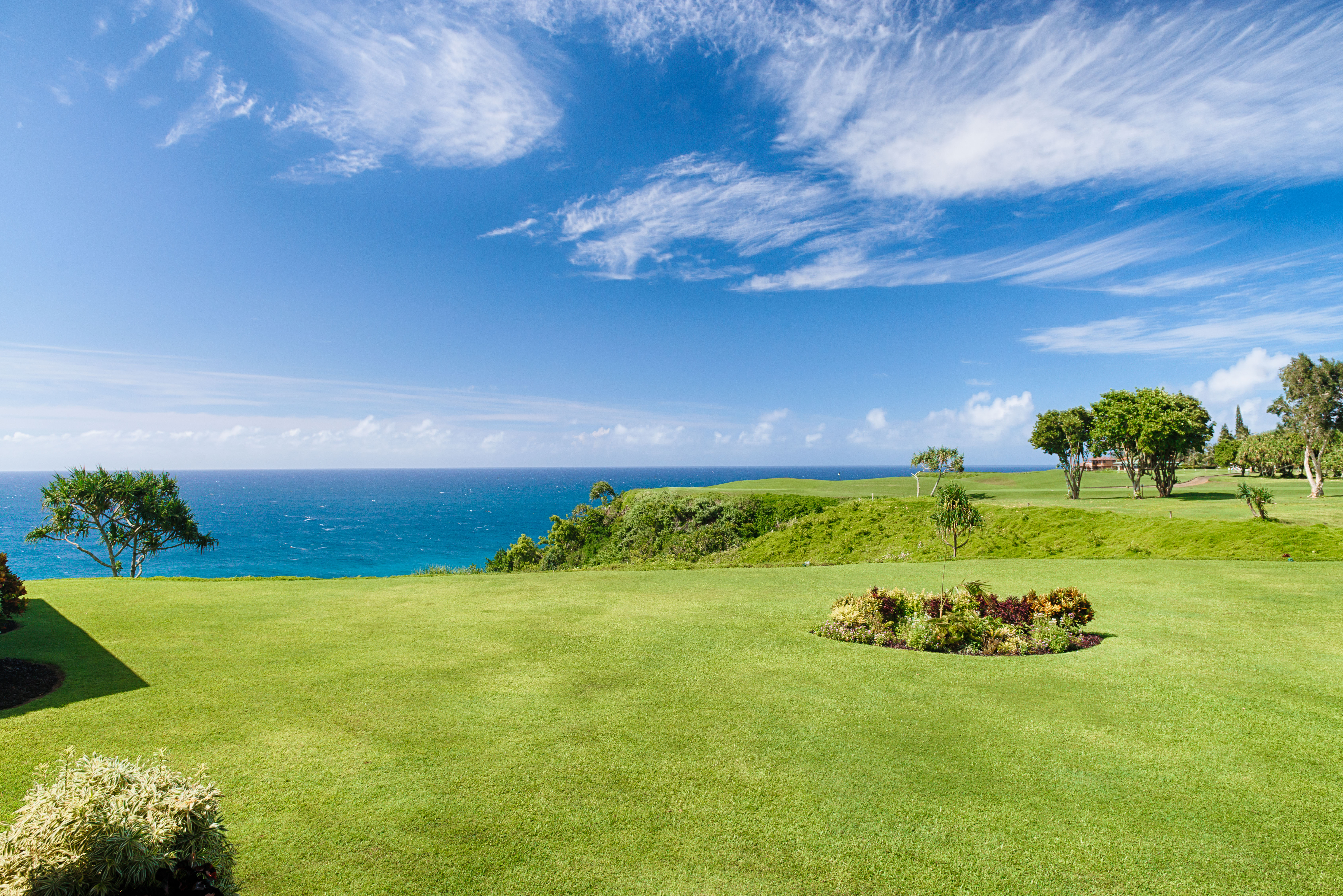 Princeville Condo 1001882