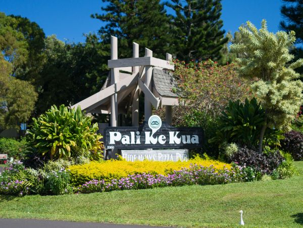 Princeville Condo 1001882