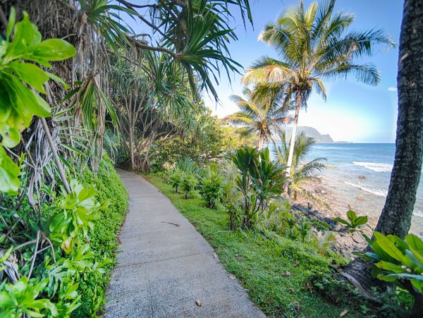 Princeville Condo 1001882