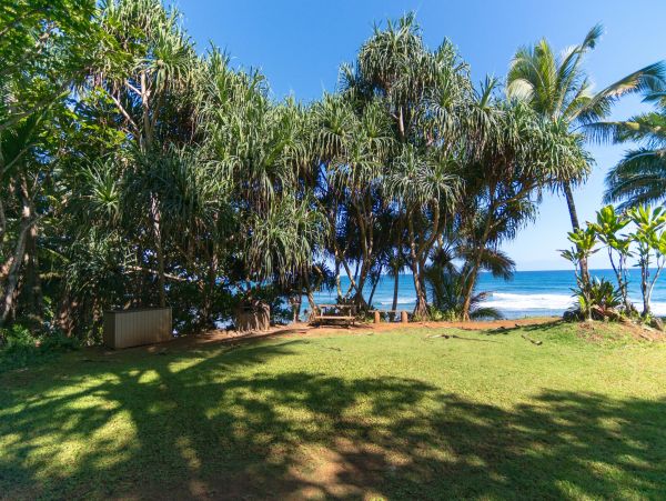 Princeville Condo 1001882
