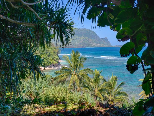 Princeville Condo 1001882