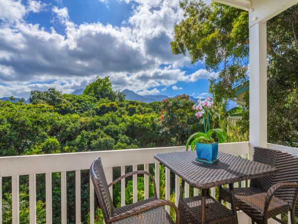 Princeville Condo 1001884