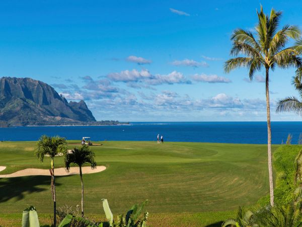 Princeville Condo 1001884