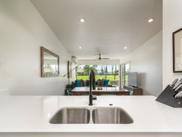 Princeville Condo 1001885