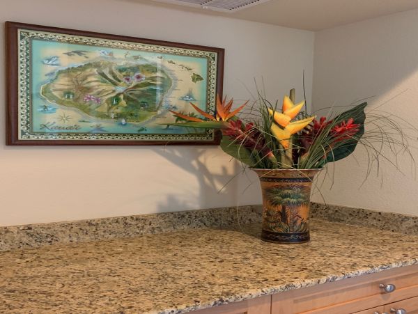 Princeville Condo 1001887