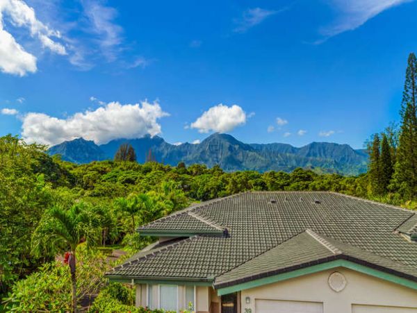 Princeville Condo 1001888