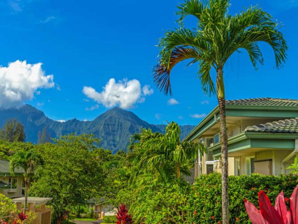 Princeville Condo 1001888