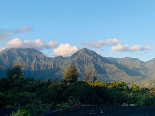 Princeville Condo 1001890