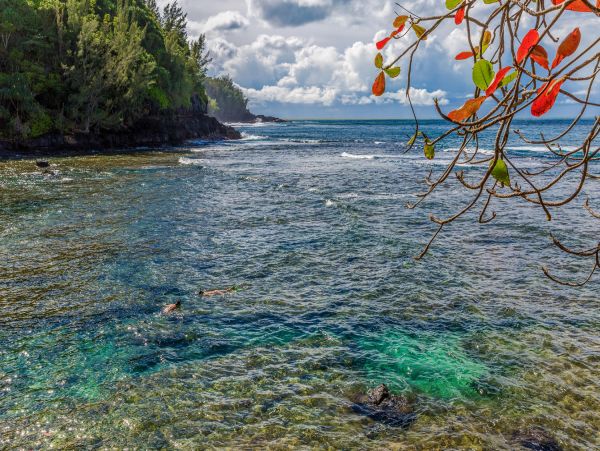 Luxurious 7-Bedroom Kauai Vacation Rental - North Shore Kauai Vacation Homes