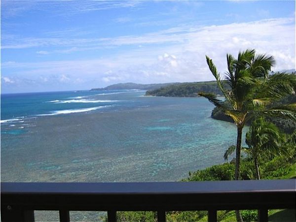 Princeville Condo 1001895