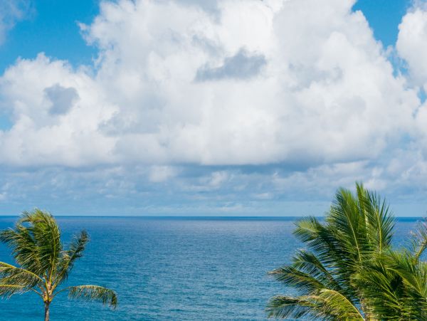 Princeville Condo 1001895