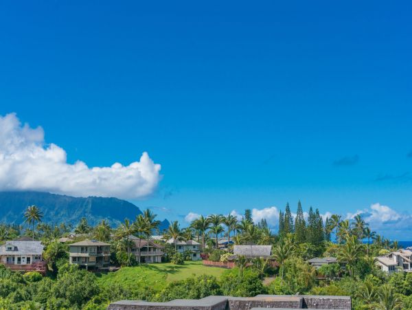 Princeville Condo 1001895