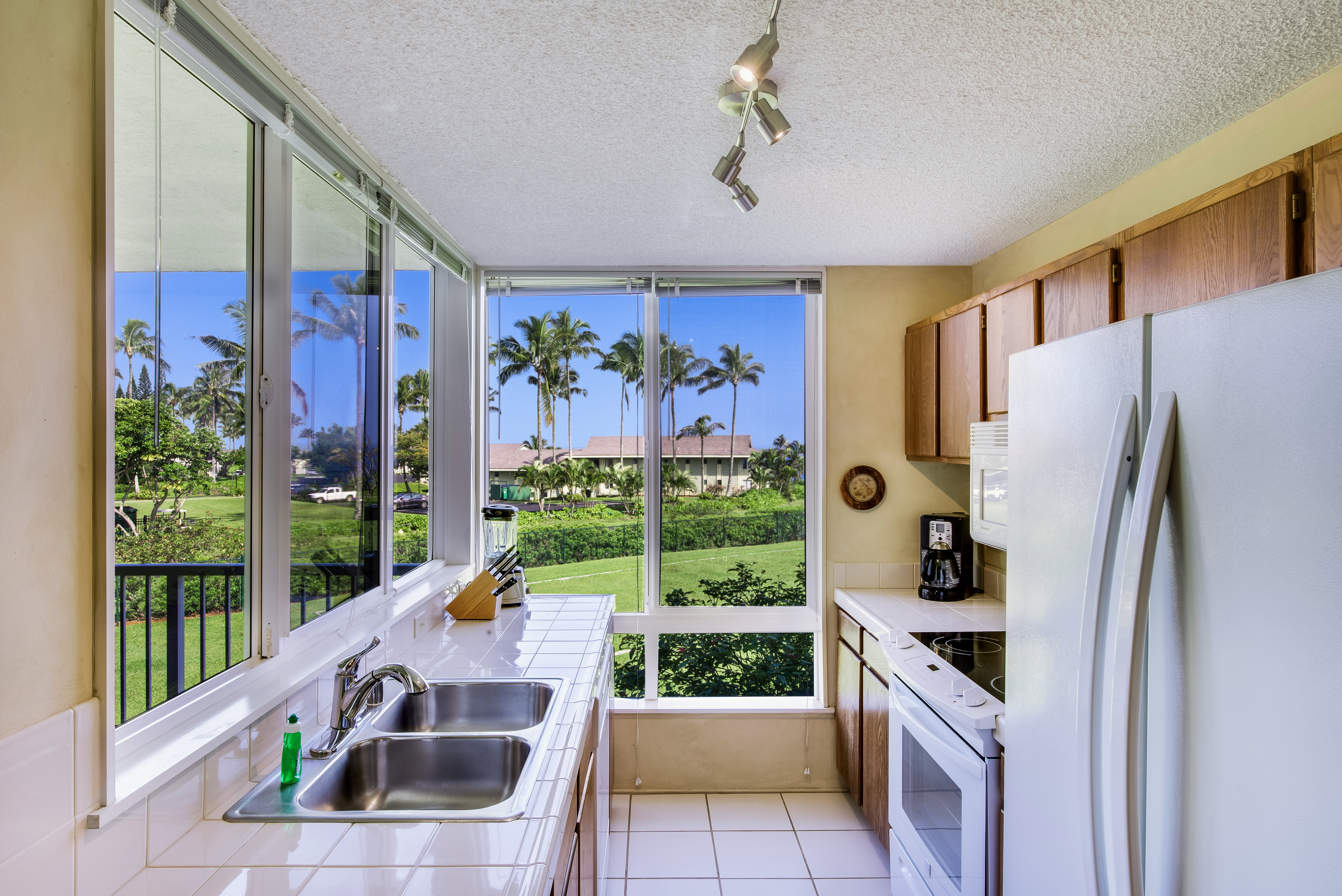Princeville Condo 1001898
