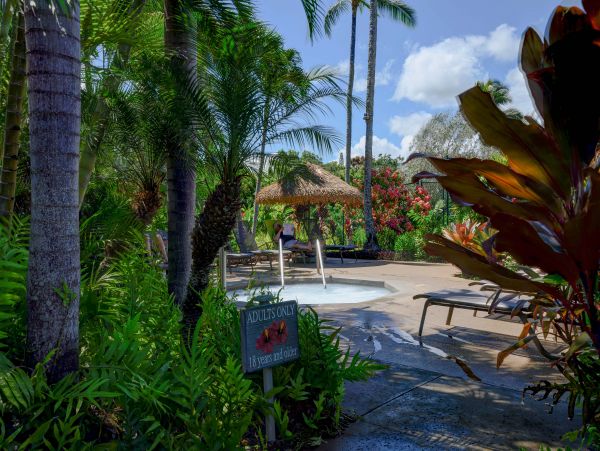 Princeville Condo 1001899