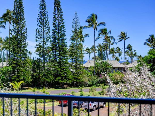 Princeville Condo 1001899