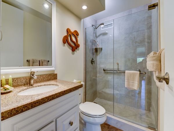 Princeville Condo 1001899