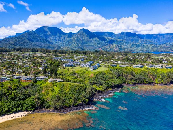 Princeville Condo 1001899