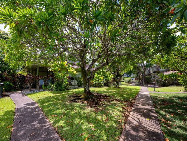 Princeville Condo 1001904