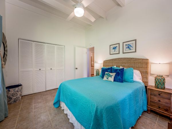 Princeville Condo 1001904